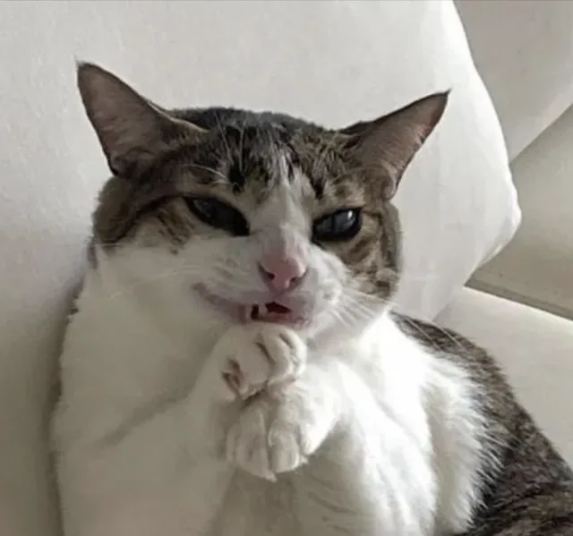 Достану тупыми разговорами