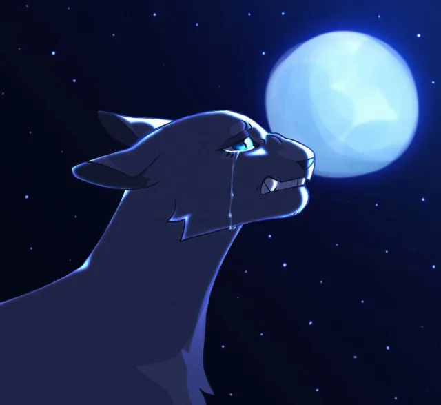 синяя звезда