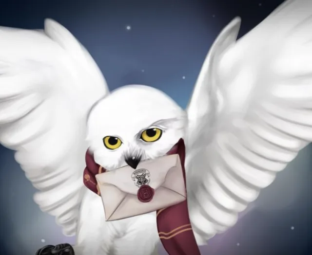 Букля, она же Хедвиг , сова Гарри Поттера