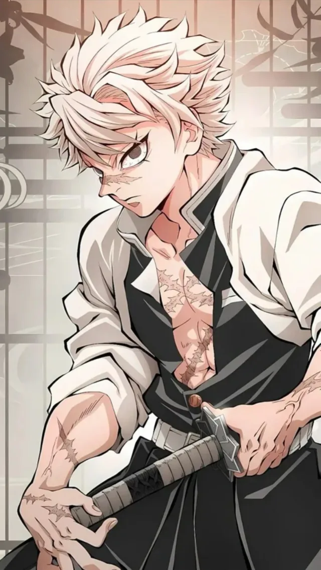 Санеми Шинузагава