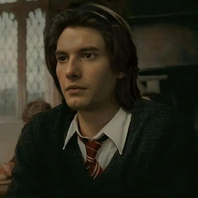 Сириус Блэк (молодой)