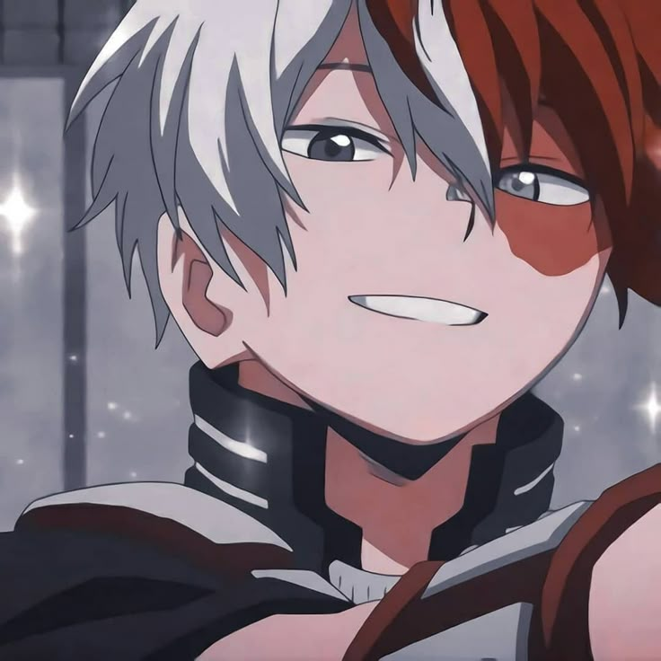 Шото Тодороки